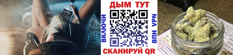 Купить где  Талдом  Каннабис план 